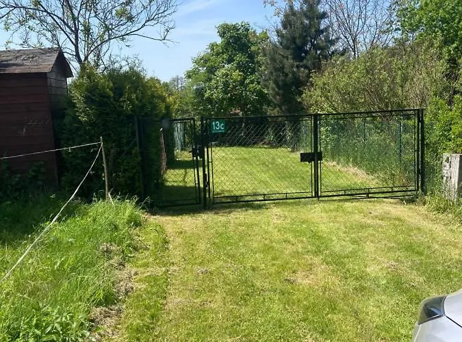 W Gorkach * Gorki Wielkie